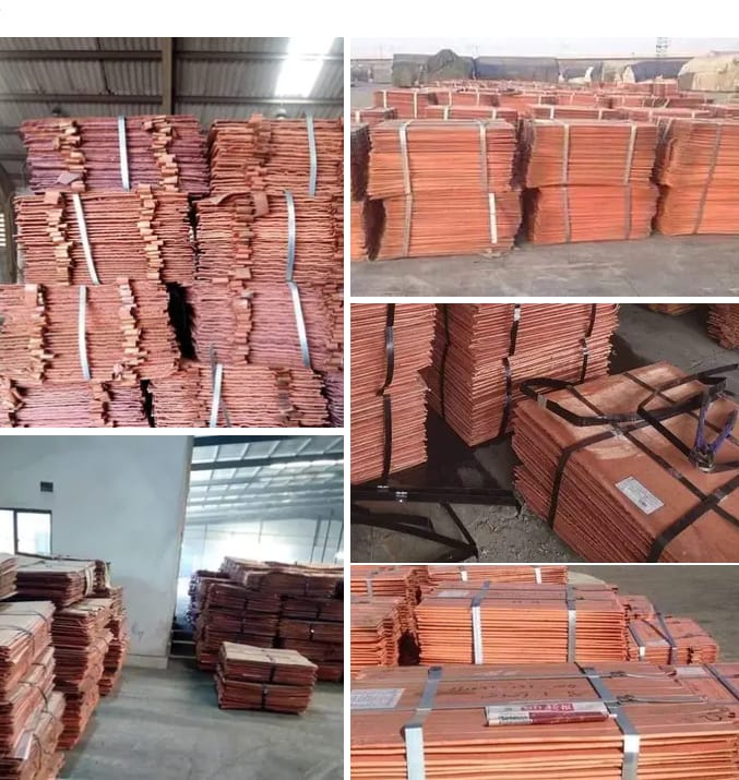 Home whatsapp image 2025 09 29 at 16.38.33