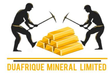 cropped du afri logo.png